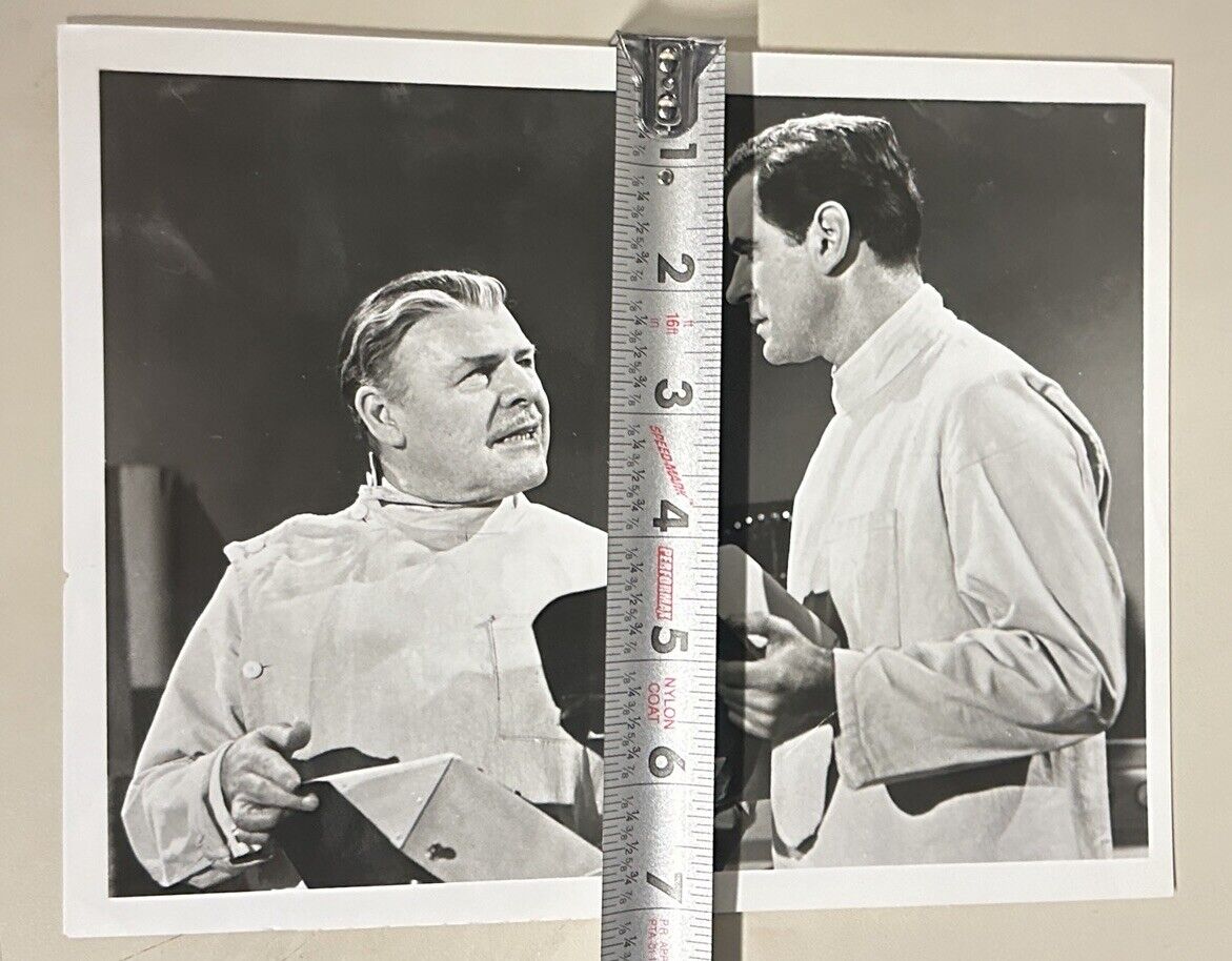 1972 ABC Monday Night Movie Press Release Photo 7”x9” The Curse Of The Fly