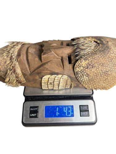 Old Mexican Folk Art Dance Mask Carved Wood Porcupine Quills Armadillo Large