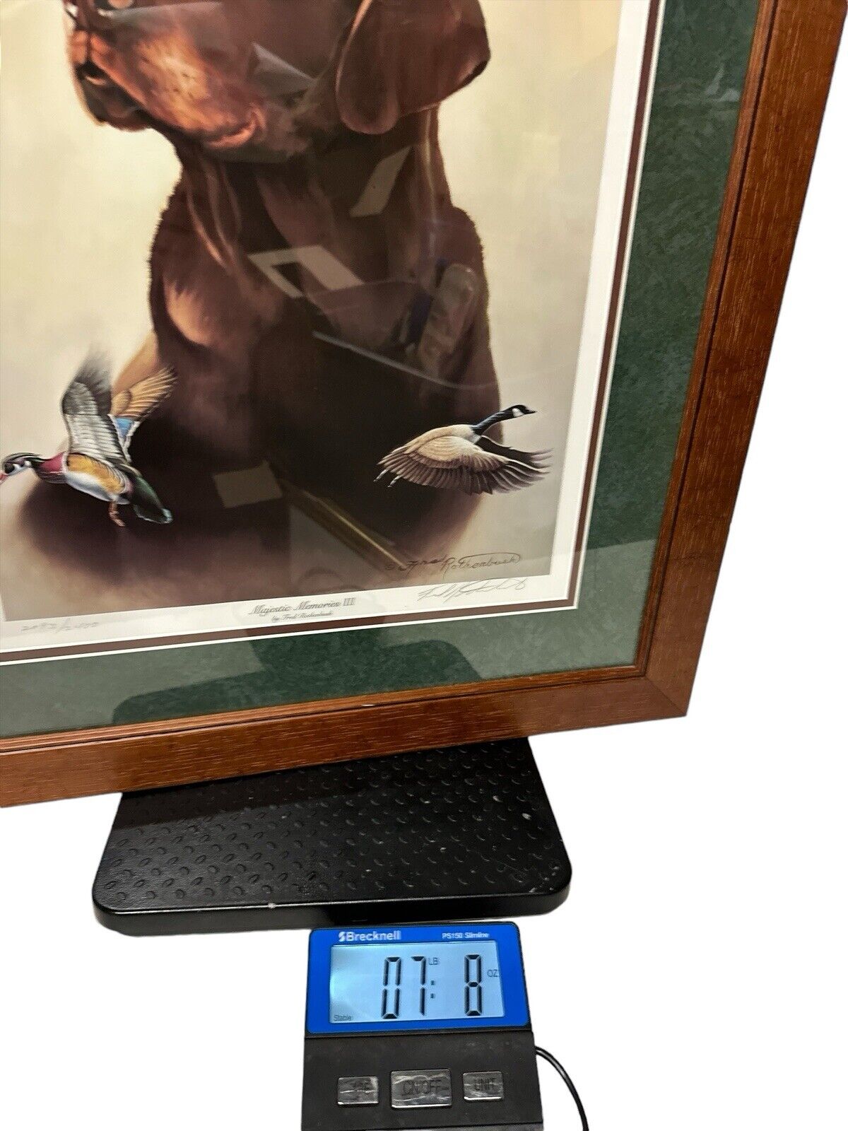 Fred Rothenbush Majestic Memories III Signed Limited Edition 2093/2400 28” x 24”