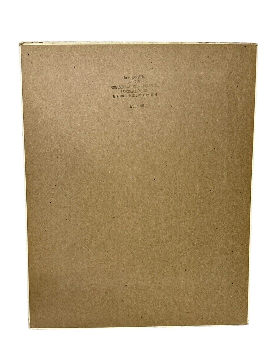 1982 TV Guide Cover Portrait Original 20” x 16” Little House On The Prairie