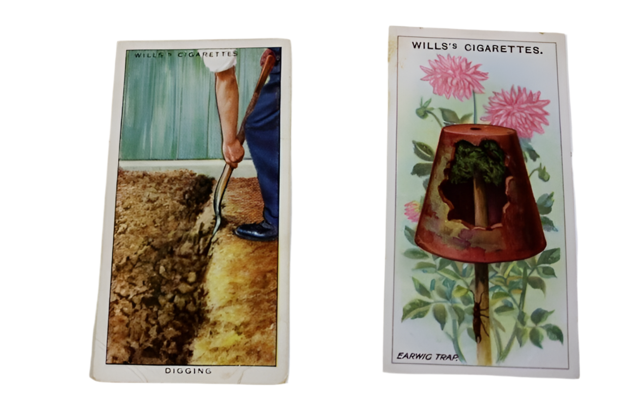 6 Antique WILLS's Cigarettes W.D. & H.O. WILLS IMPERIAL TOBACCO Trading Cards