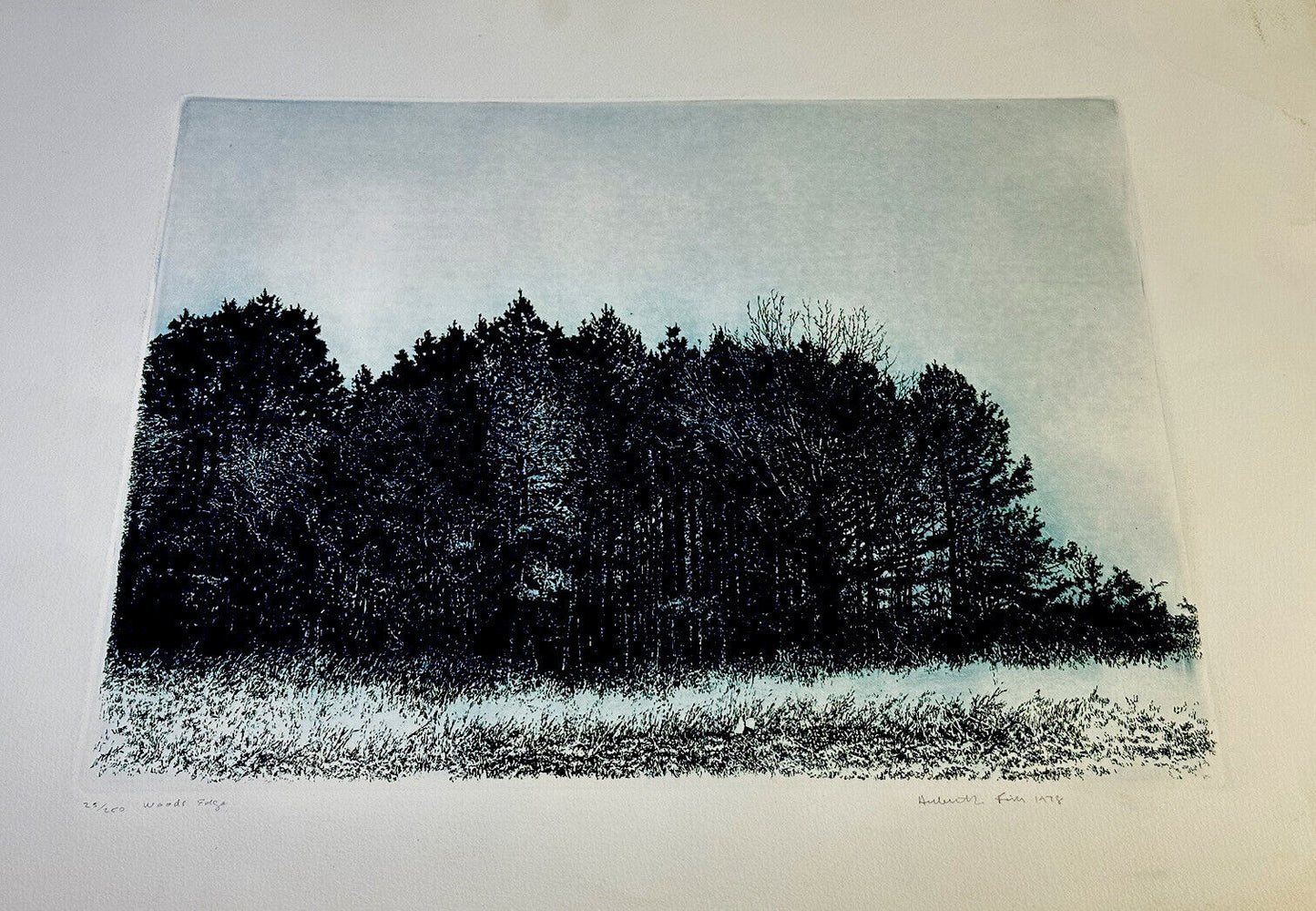 Herbert Fink Original Etching “Woods Edge” limited Edition 25/250 Signed 1978