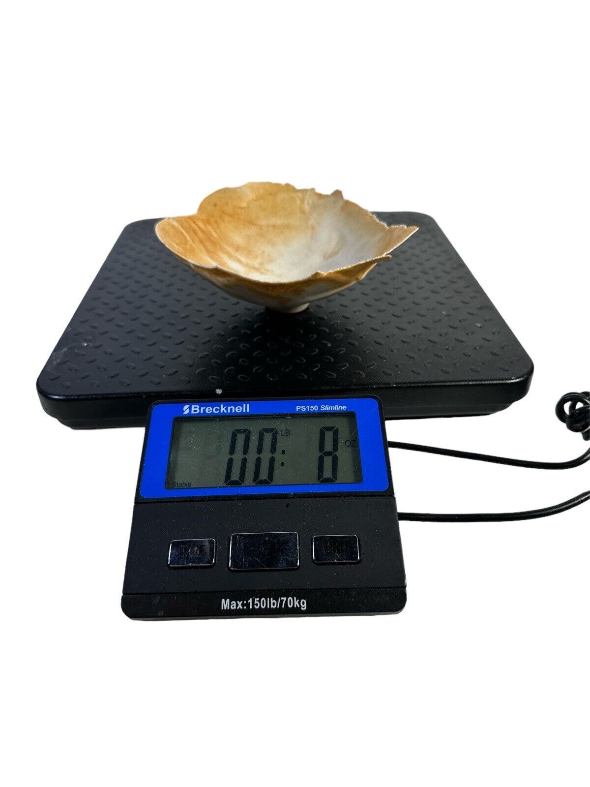 Vtg Estate Designer Display Shell Pottery Bowl 7” Diameter