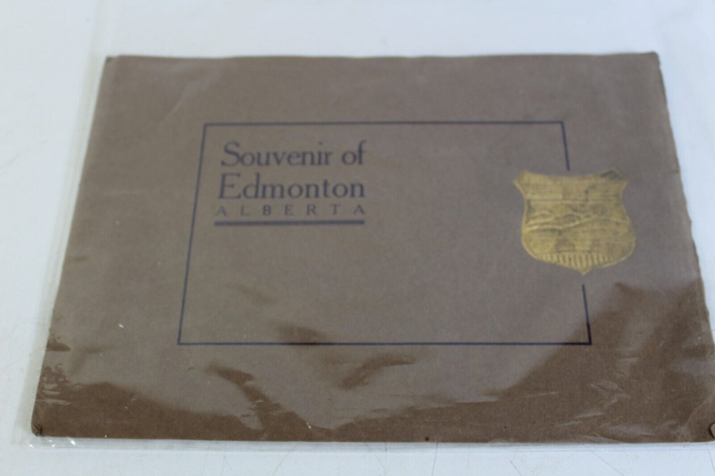 Antique 1900s Paper Illustrated Souvenir of Edmonton Alberta by Stedman Bros