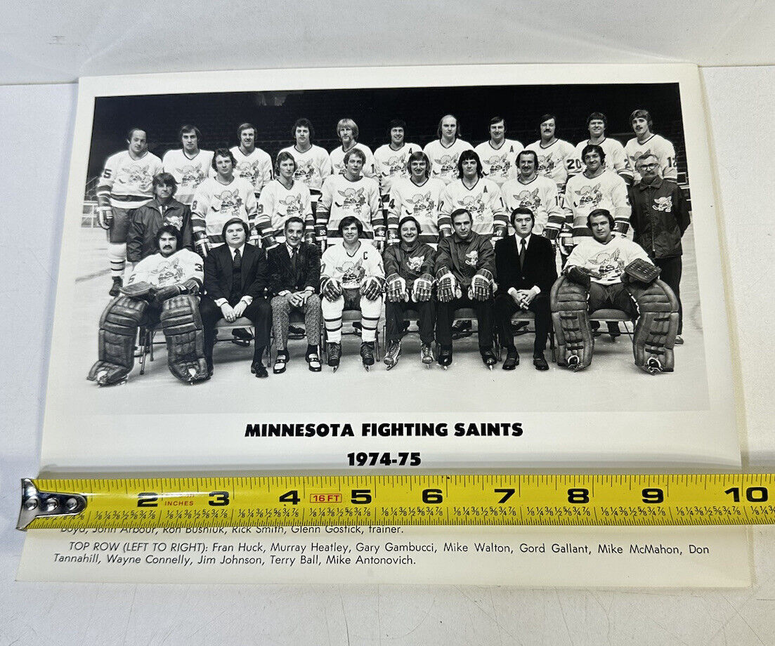 1974-75 Minnesota Fighting Saints Hockey Team Photo WHA 8”x10”