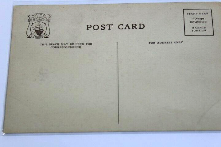 Antique Photo-Lithograph Postcard 1909 Court House City Hall Security Bank Minn.