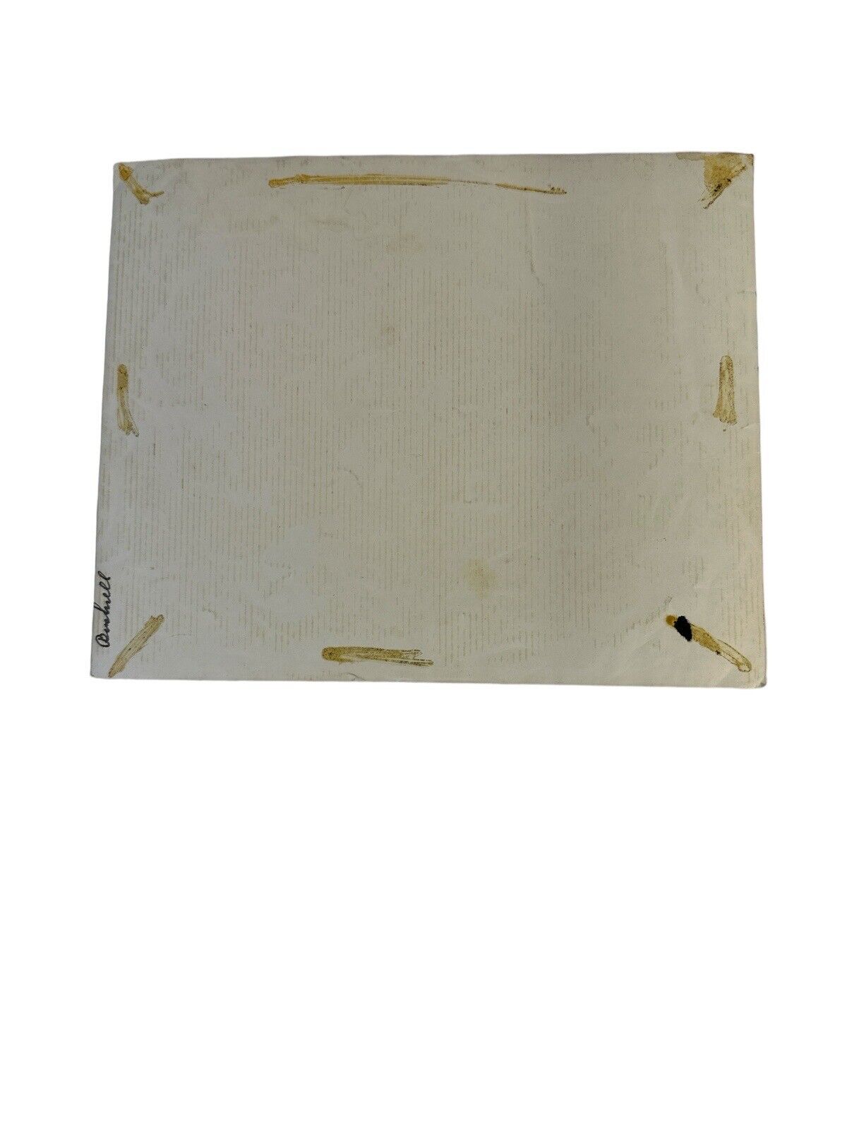 Vtg Photo Portrait 1950's Youngtown O. California 8" x 10" group photo