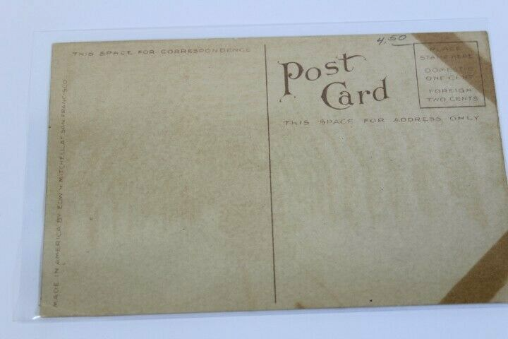 Antique Photo-Lithograph Postcard 1907 In the snowshed Sierra Nevada Ogden Route