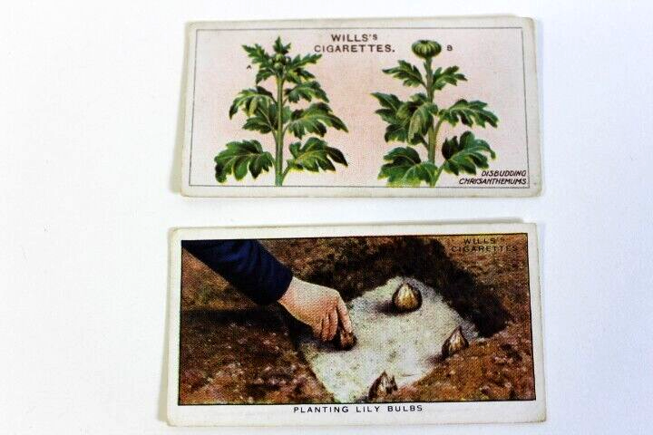 6 Antique WILLS's Cigarettes W.D. & H.O. WILLS IMPERIAL TOBACCO Trading Cards