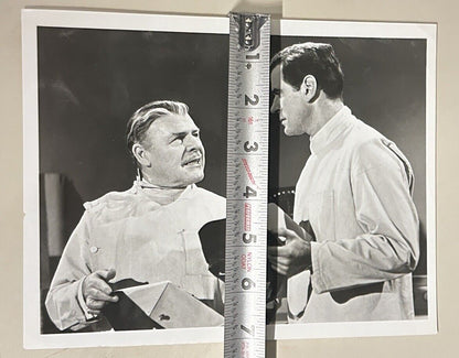 1972 ABC Monday Night Movie Press Release Photo 7”x9” The Curse Of The Fly