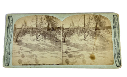 Antique Chas Bierstadt Photographer Niagara Falls Stereoview Stereograph Photos
