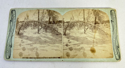 Antique Chas Bierstadt Photographer Niagara Falls Stereoview Stereograph Photos